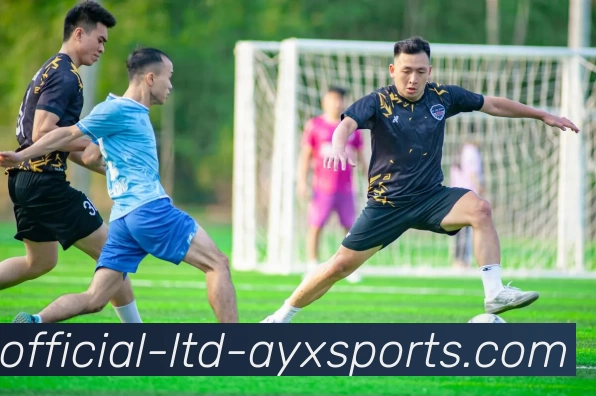 爱游戏APP 高清赛事图